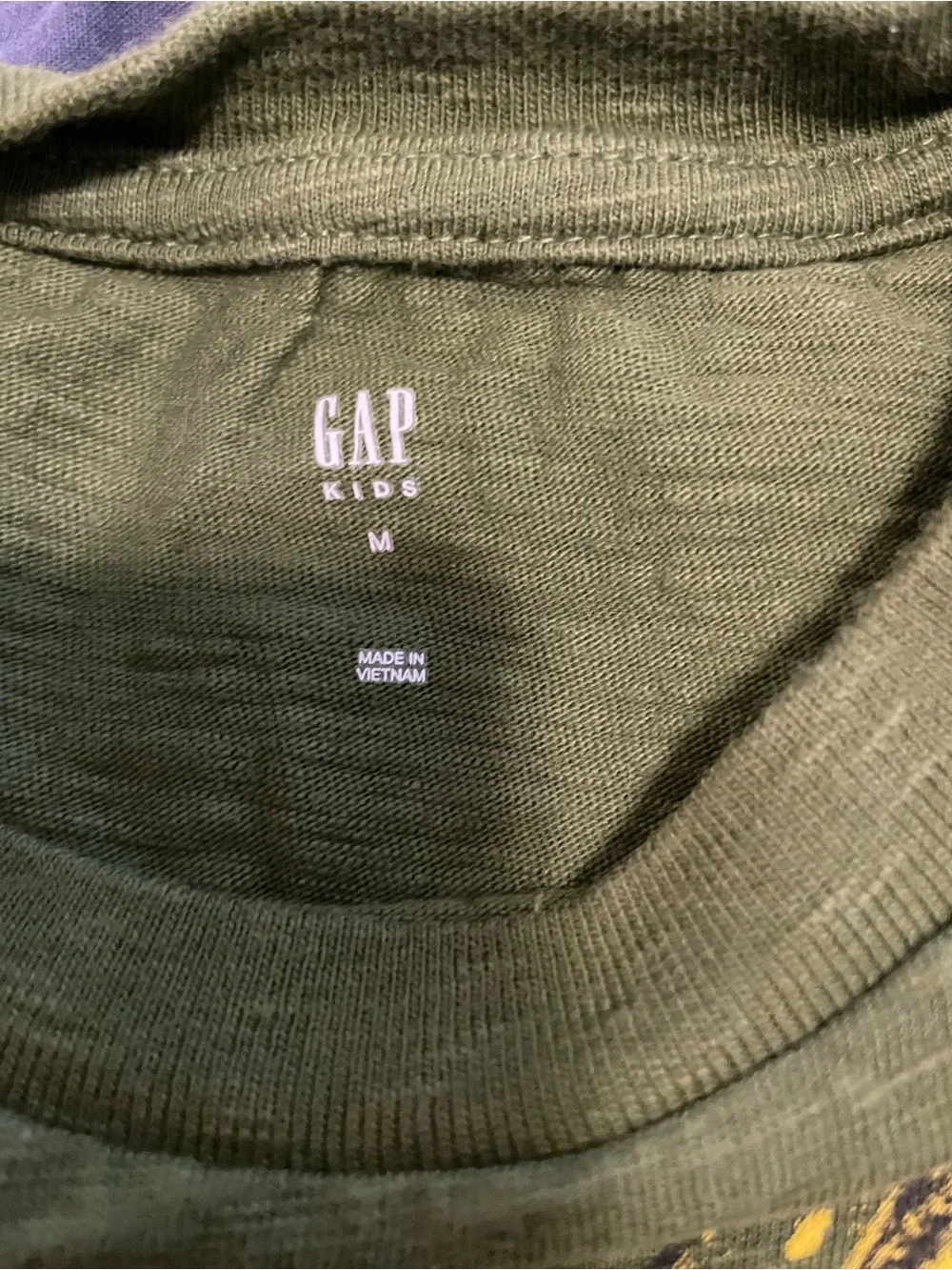 Gap Kids Olive Green Dinosaur Graphic Tee